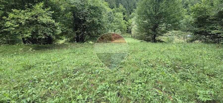 Teren de 2800 mp, în Schitu Tarcău