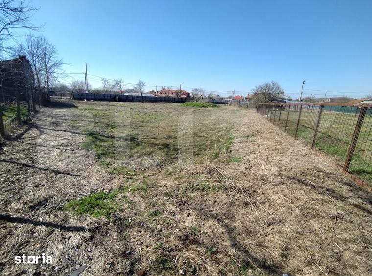 Teren de 1685 mp, în Almăj