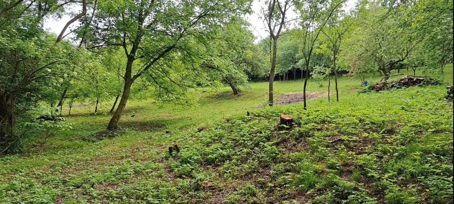 Teren de 4300 mp, în Ciurila