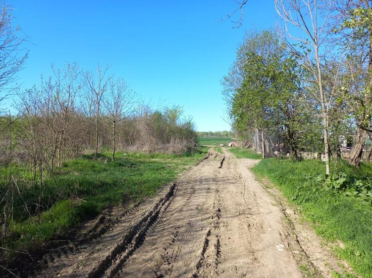 Teren Construcții intravilan de 2927 mp, în Țegheș