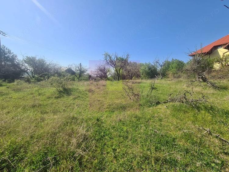 Teren de 2500 mp, în Voila