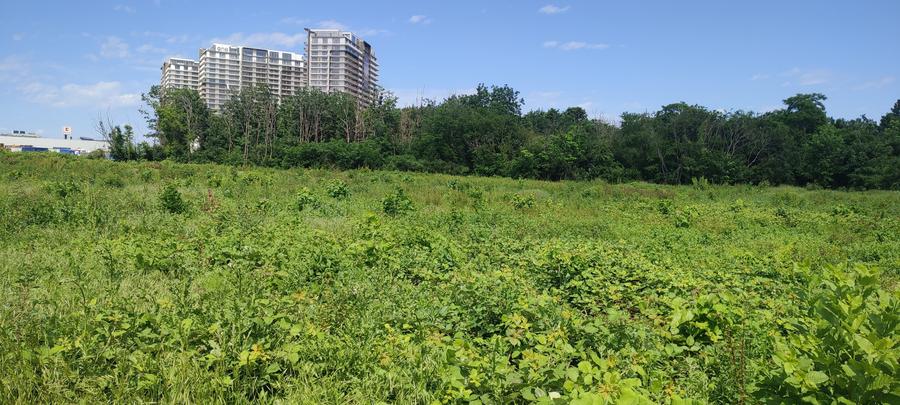 Teren Construcții intravilan de 1000 mp, în Lacul Tei