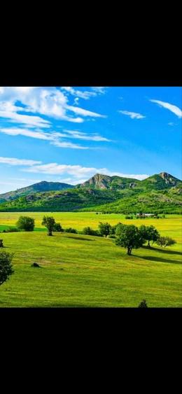 Spațiu comercial, în Greci