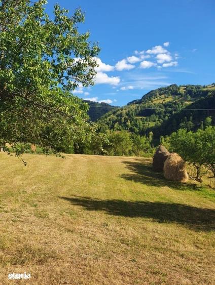 Teren de 10100 mp, în Bulz