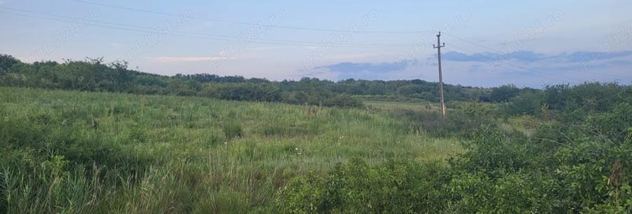 Teren de 3000 mp, în Valea Ursului