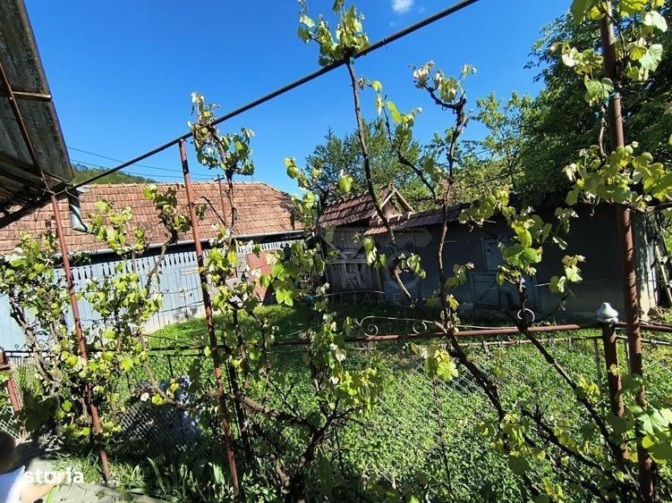 Casă cu 3 camere în Porumbeni