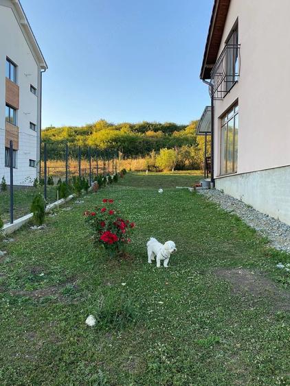 Casă cu Teren 640 Mp în Central