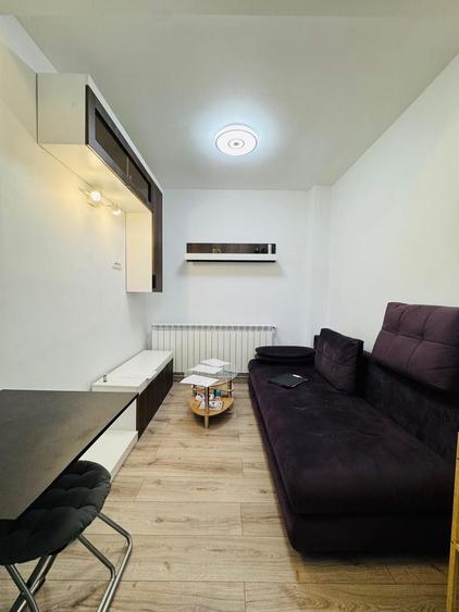 Apartament cu 2 camere semidecomandat, mobilat în Parcul Carol