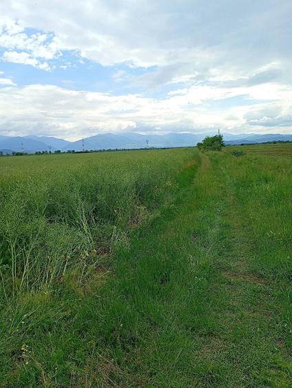 Teren de 2900 mp, în Central