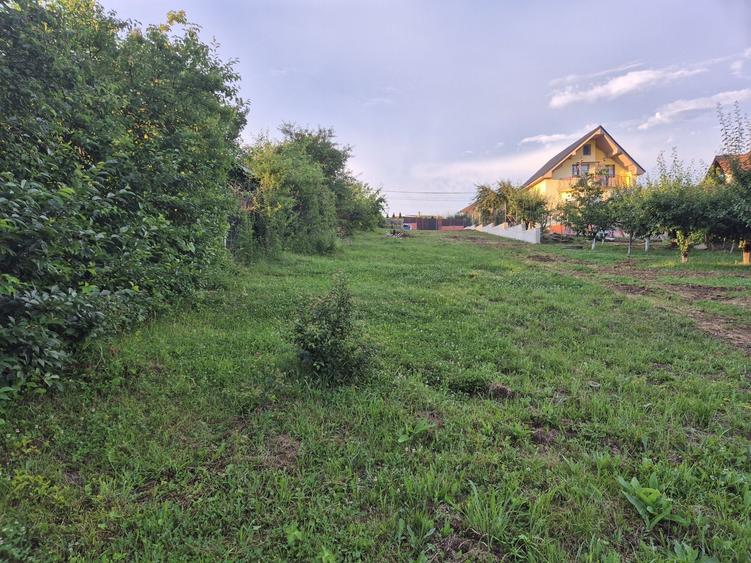 Spațiu comercial, în Cisnădioara