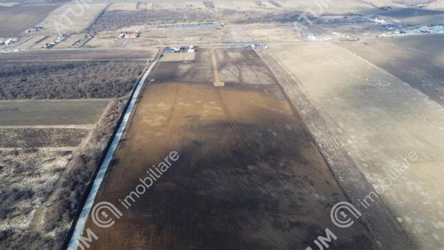 Teren agricol extravilan de 132903 mp, în Exterior Vest