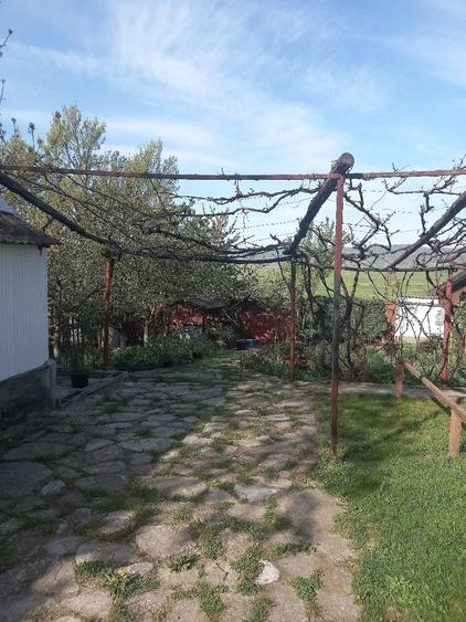Casă cu Teren 1260 Mp în Muntenii de Jos