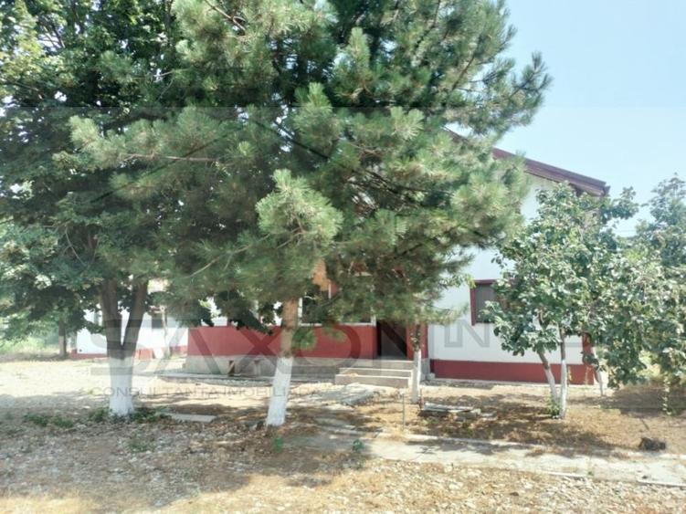 Casă individuală cu 5 camere cu Teren 4040 Mp în Drăgoești