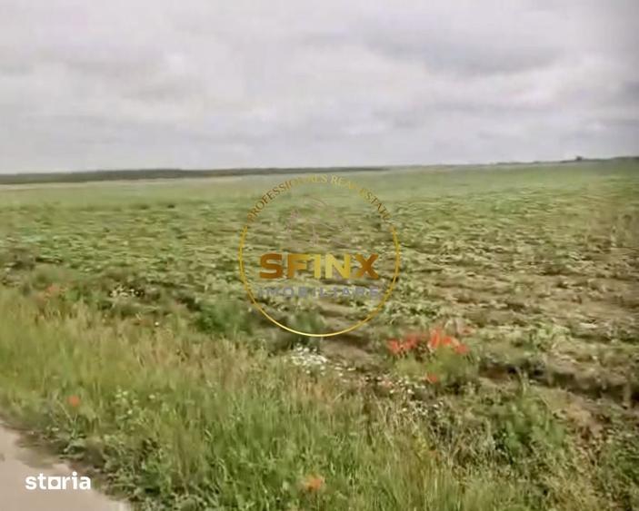 Spațiu comercial, de 14,052 mp, în Ciocănești
