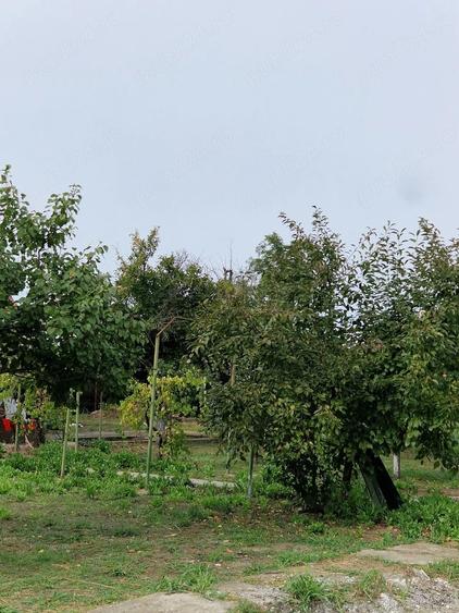 Casă cu 3 camere cu Teren 2000 Mp în Glodeanu-Siliștea