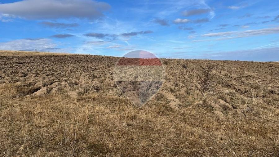 Teren agricol extravilan de 4000 mp, în Pădureni (Ciurila)