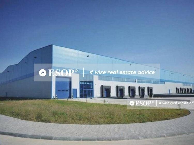 Spațiu industrial, de 4,500 mp, în Remetea Mare