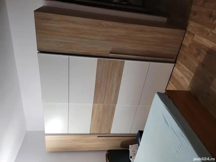 Apartament cu 3 camere decomandat în Schitu