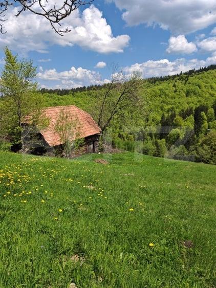 Teren Construcții intravilan de 3400 mp, în Bran