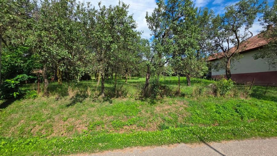 Teren Construcții intravilan de 3547 mp, în Hereclean