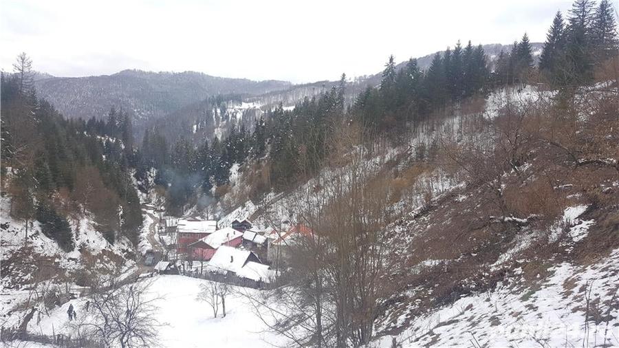 Teren de 5062 mp, în Voineasa