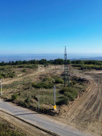 Teren Construcții intravilan de 10000 mp, în Bucium