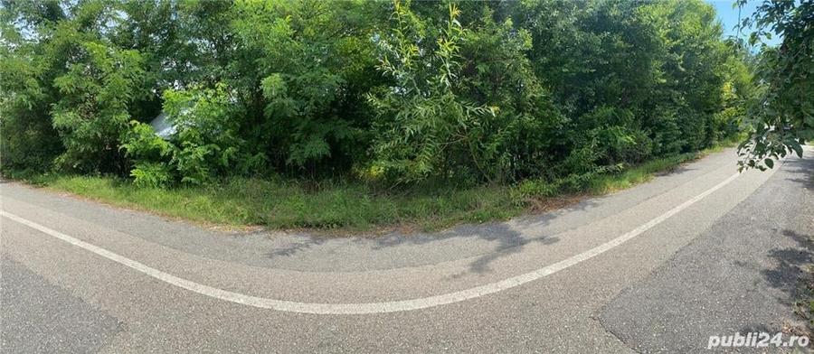Teren de 10000 mp, în Căzănești (Milcoiu)