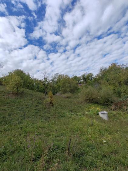 Teren de 5400 mp, în Drăgăneasa