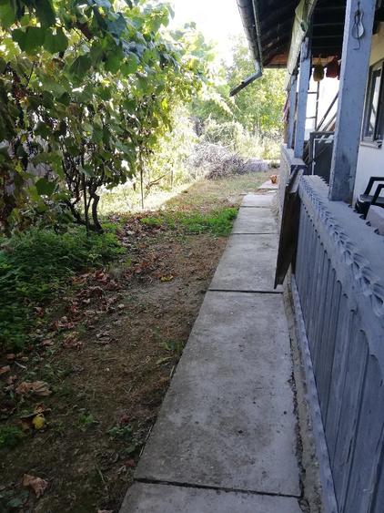 Casă cu 5 camere cu Teren 2146 Mp în Bărcănești