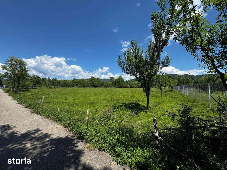 Teren de 5450 mp, în Brebu