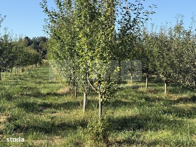 Casă cu 4 camere în Gălănești