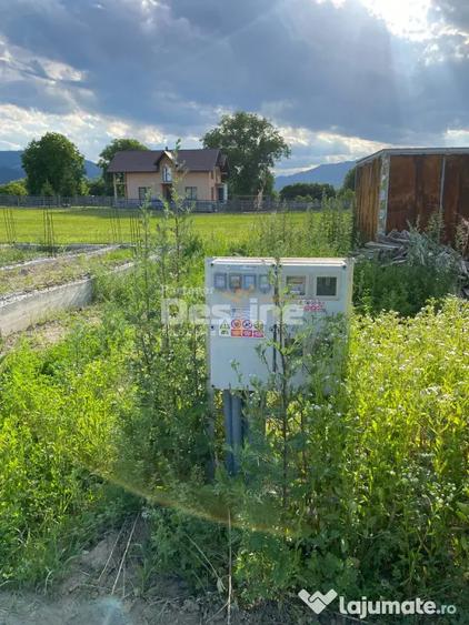 Teren de 735 mp, în Alexandru cel Bun