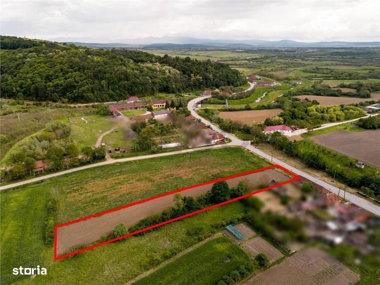 Spațiu comercial, în Holod