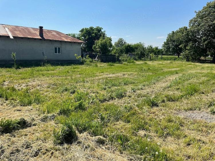 Teren de 1500 mp, în Băltița