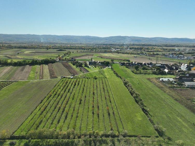 Teren intravilan de 14527 mp, în Aușeu