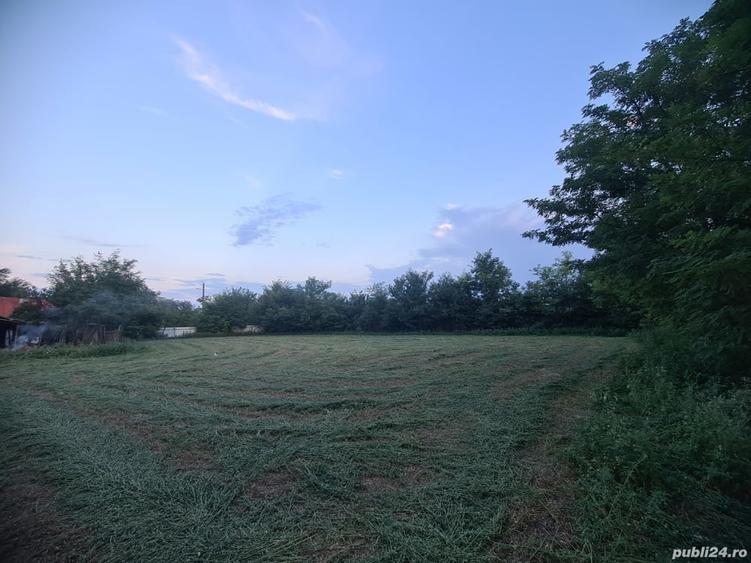Casă cu 3 camere cu Teren 2100 Mp în Scorțaru Nou