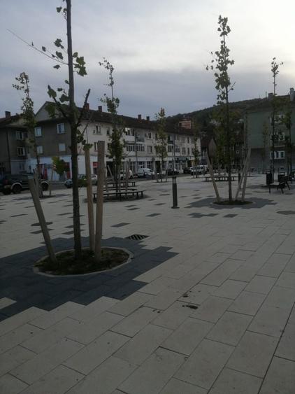 Apartament cu 2 camere decomandat în Luncă