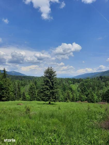 Teren de 15000 mp, în Uric