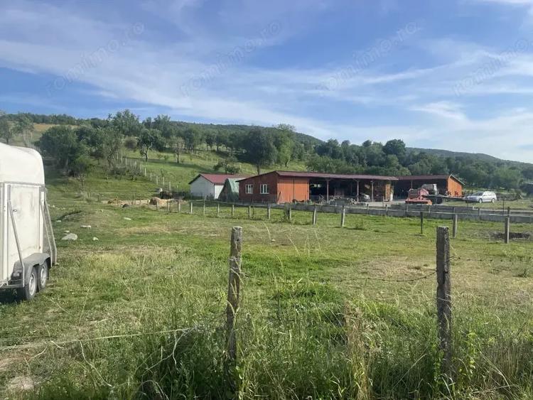 Teren de 1400 mp, în Jichișu de Jos