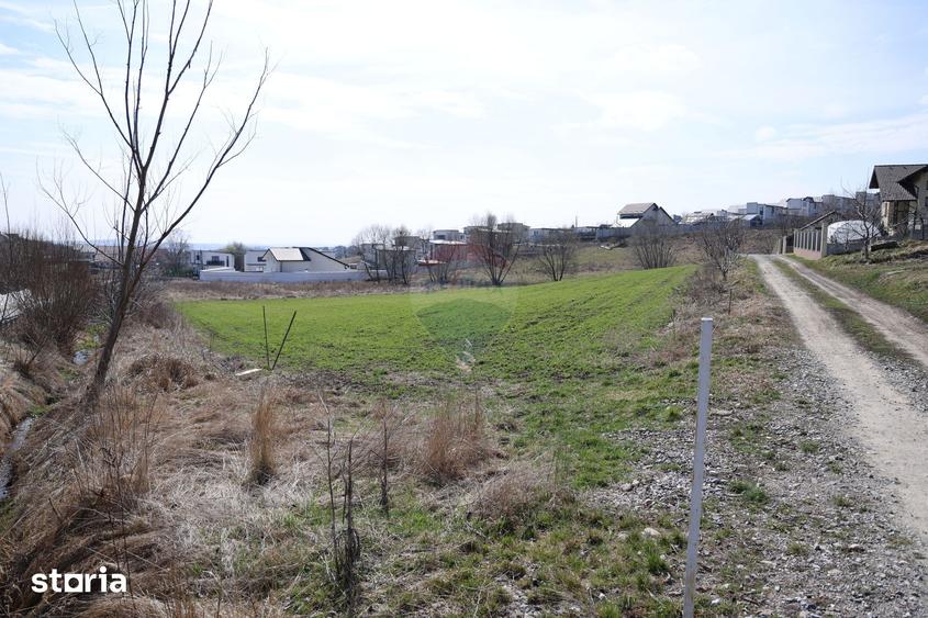 Teren de 3500 mp, în Moara