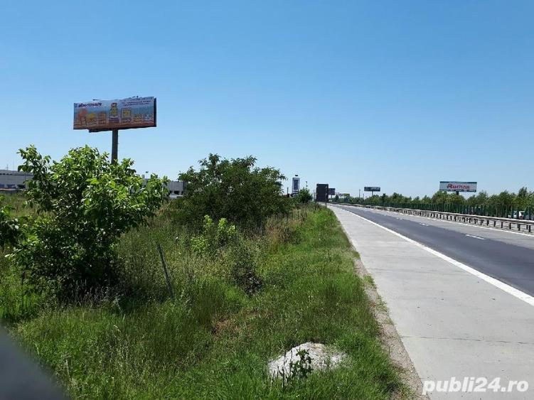 Teren de 5000 mp, în Manolache