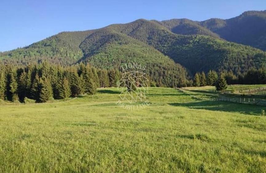 Teren Construcții extravilan de 11800 mp, în Piatra Fântânele