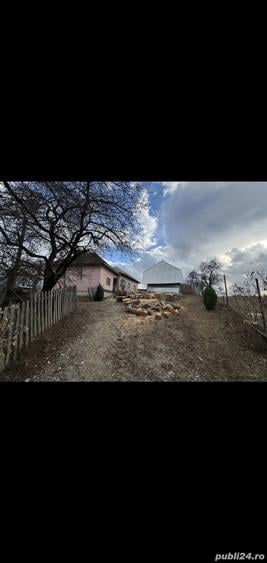 Teren de 24000 mp, în Nucșoara