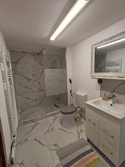 Casă individuală cu 6 camere cu Canalizare în Ocoliș