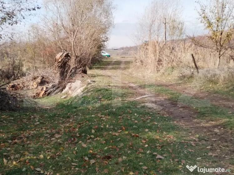 Teren de 3360 mp, în Aninoasa