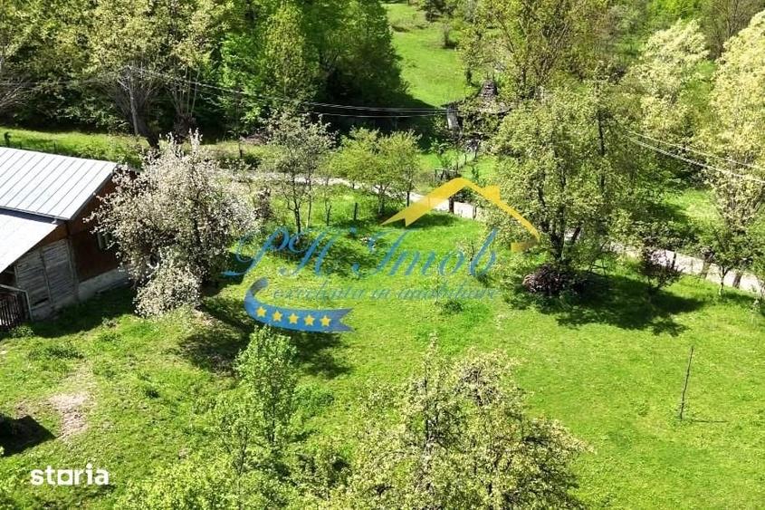Casă cu 5 camere cu Teren 1991 Mp în Provița de Sus