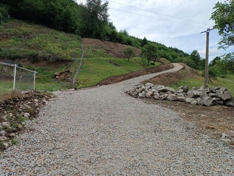 Teren Construcții intravilan de 10000 mp, în Bistrița Bârgăului