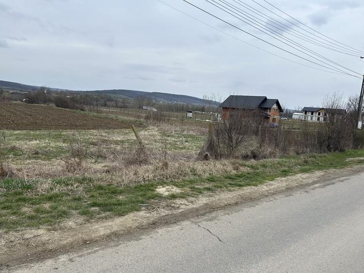 Teren de 720 mp, în Plavia