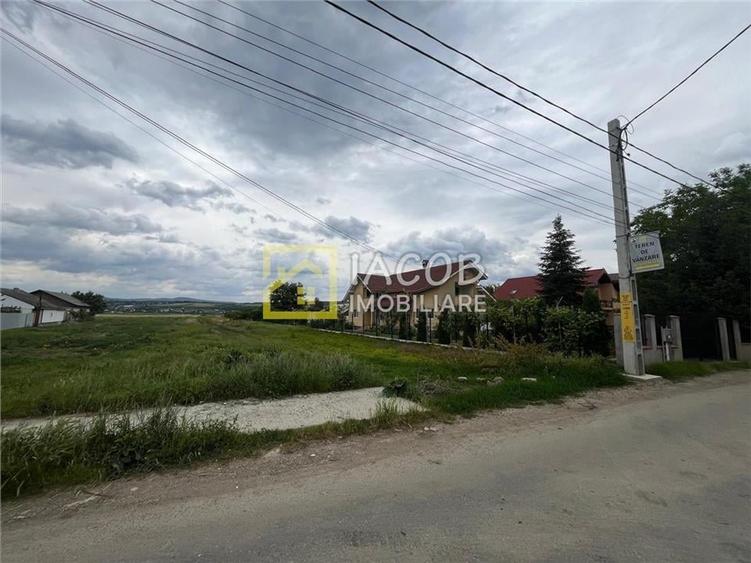 Teren Construcții intravilan de 3000 mp, în Lilieci