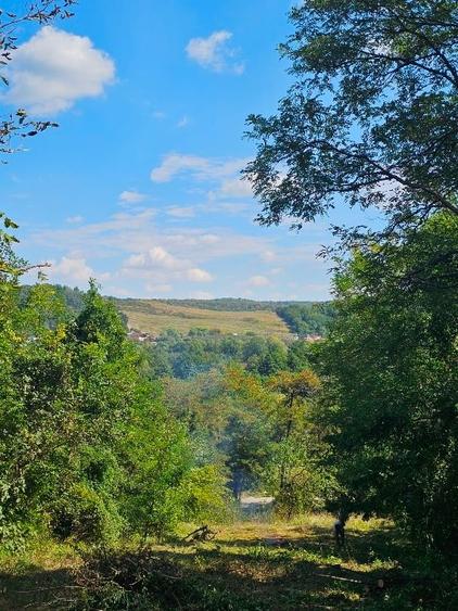Teren cu priveliste spre vale, la padure, zona linistita, la 1h30 de Bucuresti - 4